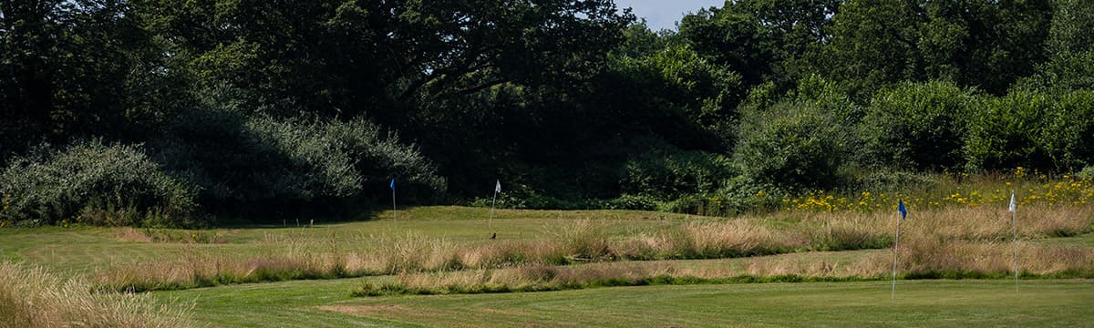 A green on the pitch and putt course with a blue flag and a white one, long grass across the middle and tall trees behind